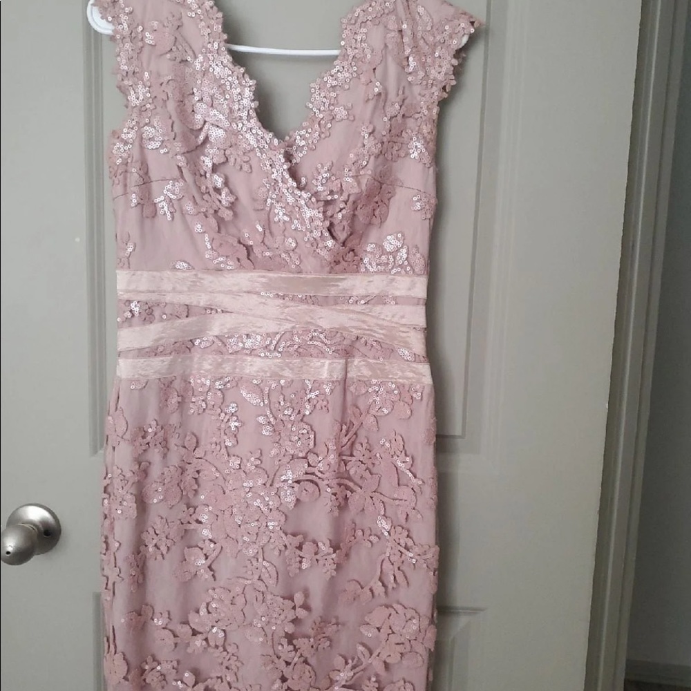 Beautiful Tadashi Shoji dress in blush.